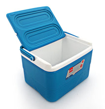 Load image into Gallery viewer, Cello Plastic Chiller Ice Packs, 3 Litres, Blue