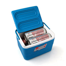 Load image into Gallery viewer, Cello Plastic Chiller Ice Packs, 3 Litres, Blue