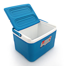 Load image into Gallery viewer, Cello Plastic Chiller Ice Packs, 3 Litres, Blue
